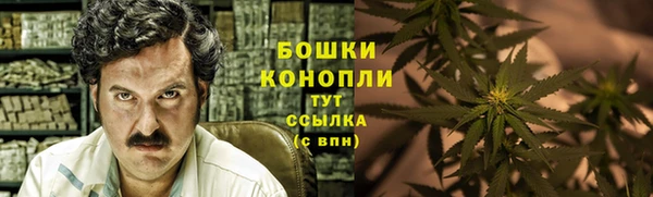 сатива Нягань