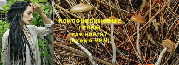 спиды Остров