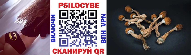 Галлюциногенные грибы GOLDEN TEACHER  omg ONION  Кремёнки 